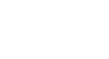 4L Flexx